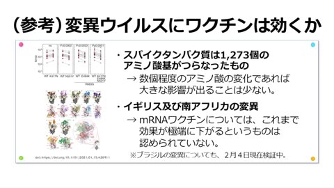 2021年2月16日 メッセンジャーRNAワクチンの解説（２月16日）