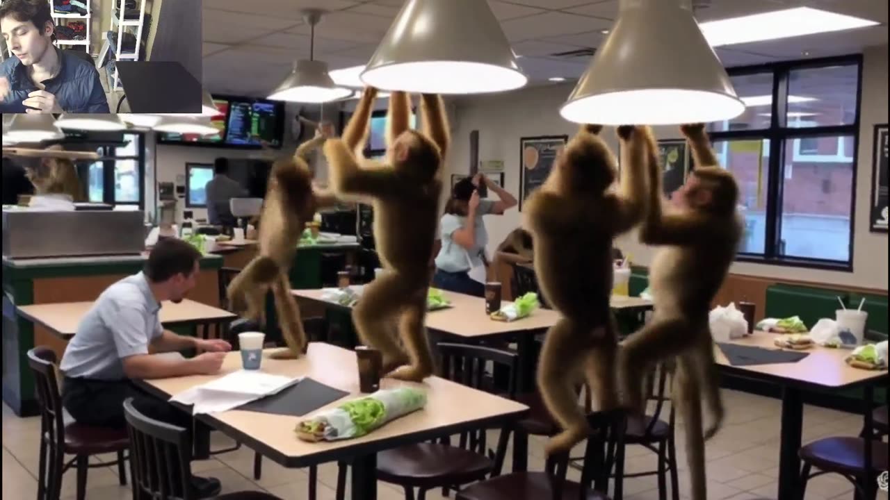 Outtake #1,049 Of Over 5 Monkeys Roam Around A Subway Restaurant Fake Funny Parody Video