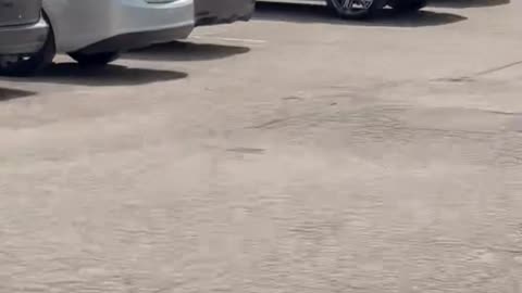 Active shooter incident reported at gun 4 Roses Tournament
