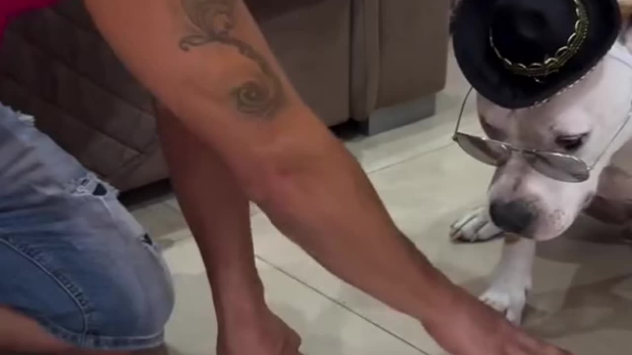 Try not to laugh!!!