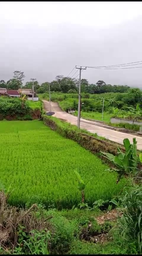 beautiful rural nature