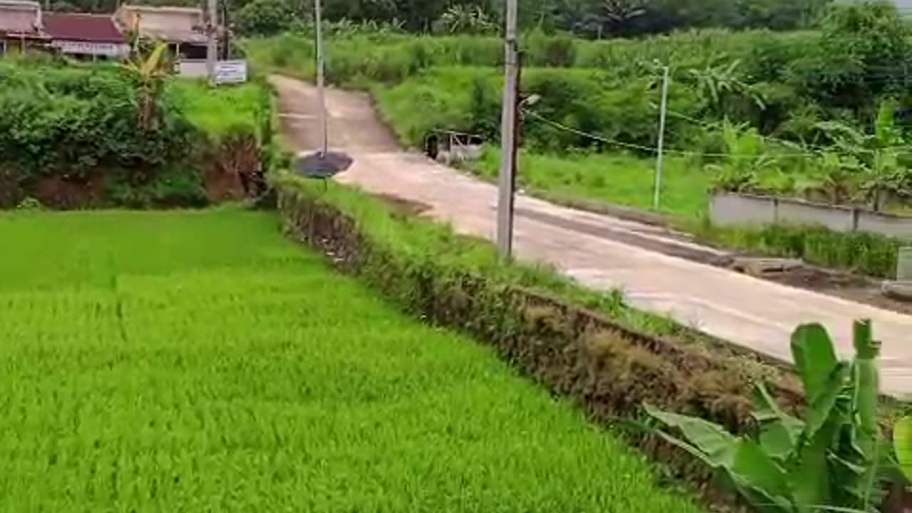 beautiful rural nature