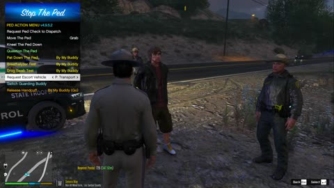 Routine Stop with GSP Mustang Escalates Fast | LSPDFR