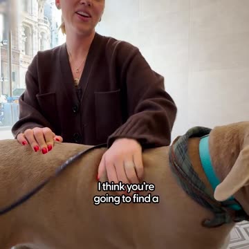 Actress Scarlett Johansson goes on blind date with a 12-year-old Pittie.