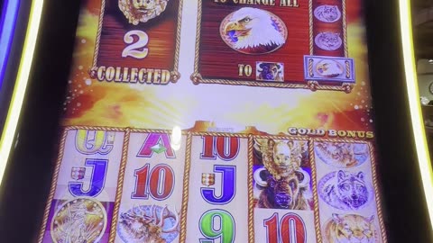 Buffalo Gold Collection slot 🎰🦌🎰