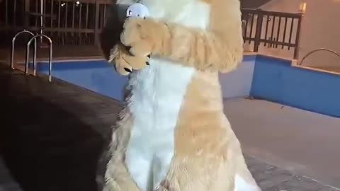 Furry cute #5