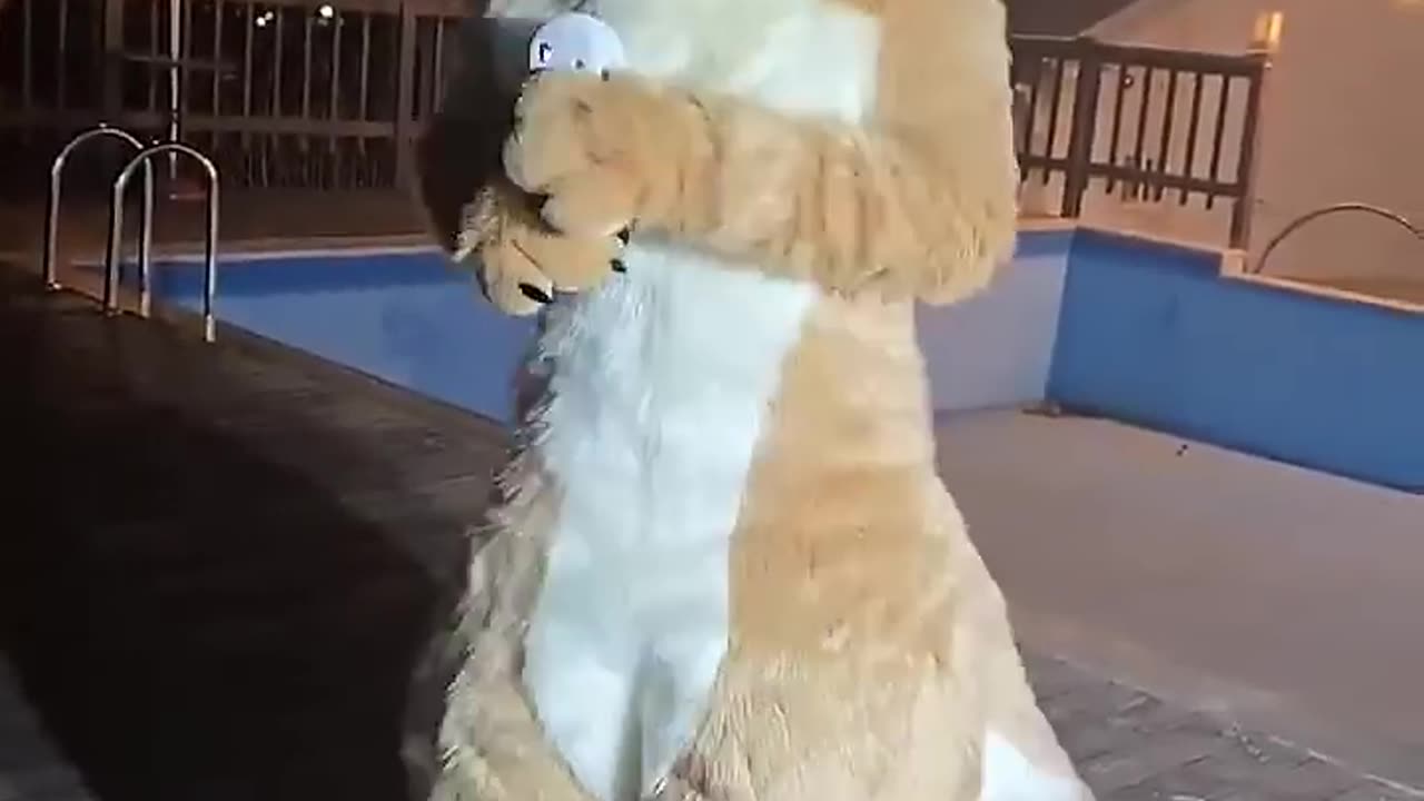 Furry cute #5