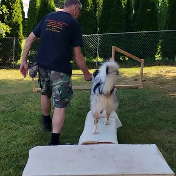Platform Balance beam Hurdle short one