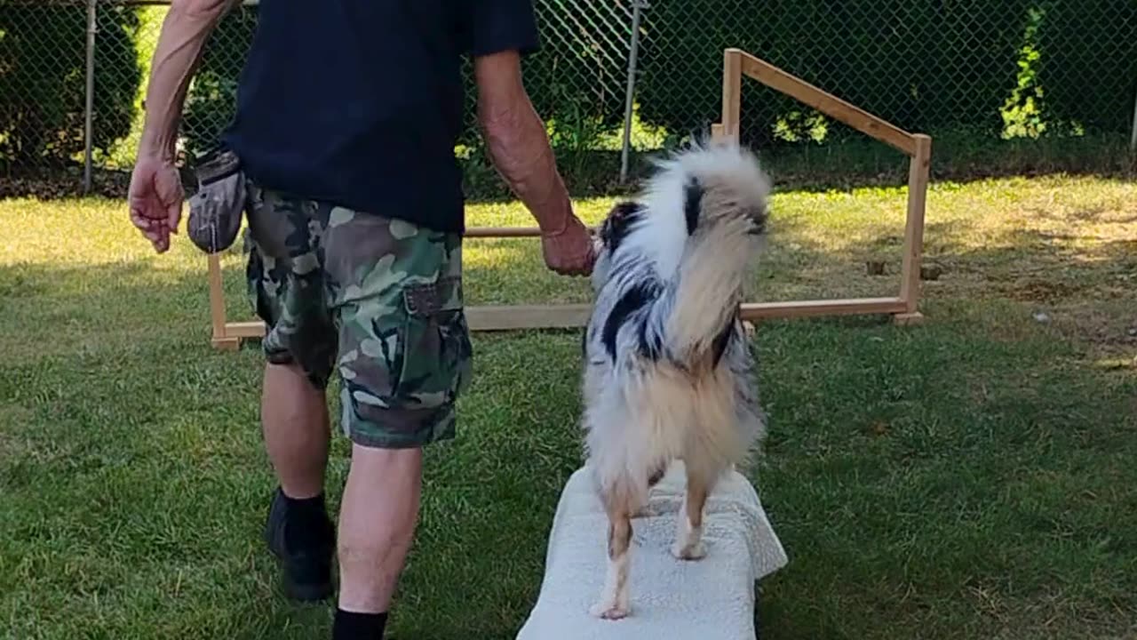Platform Balance beam Hurdle short one