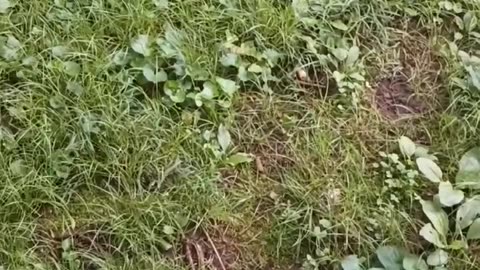 calling out lies and slander from a jealous 764 cultist stalker