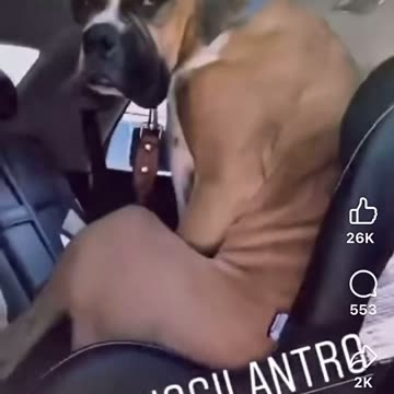 "Yeah, and what are you going to do about it?"