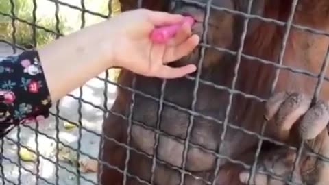 😆💨 The Way He Puffed It Had Me Laughing! Unexpected Move | FunFM