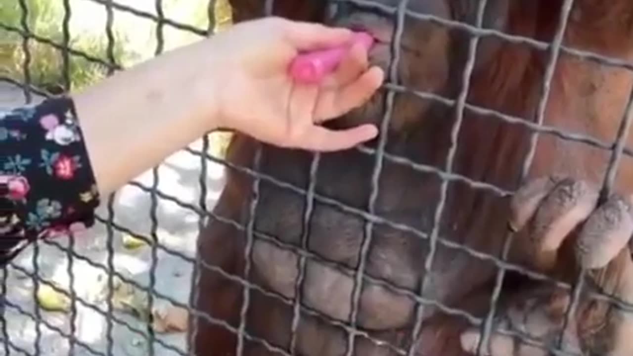 😆💨 The Way He Puffed It Had Me Laughing! Unexpected Move | FunFM