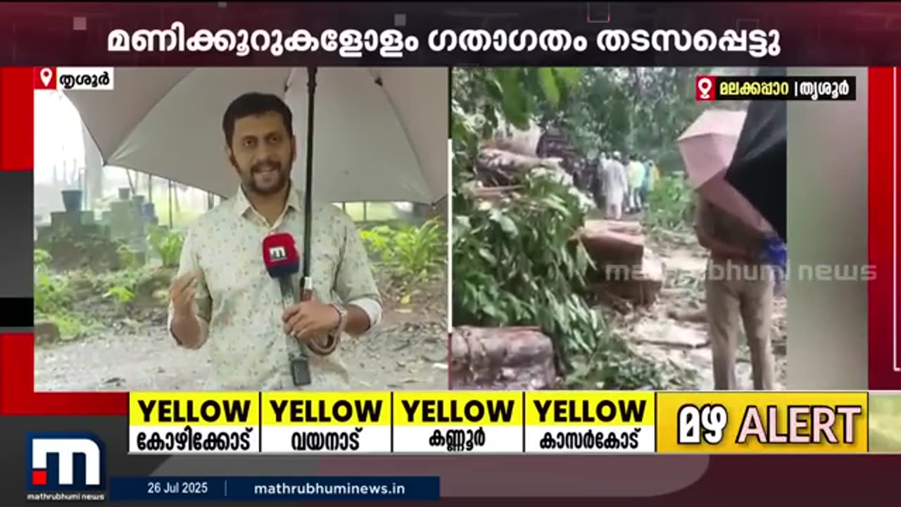 ശക്തമായ_കാറ്റിൽ_കൂറ്റൻമരം_കടപുഴകി_വീണു;_അതിരപ്പിള്ളി-മലക്കപ്പാറ_റോഡിൽ_ഗതാഗത_തടസ്സം___K