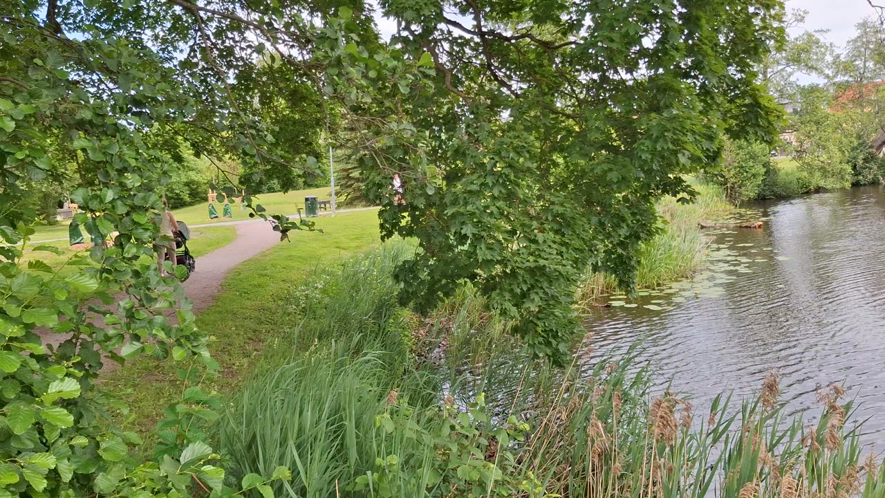 Sommar, varmt och skönt i Örebro 15 Juni 2025