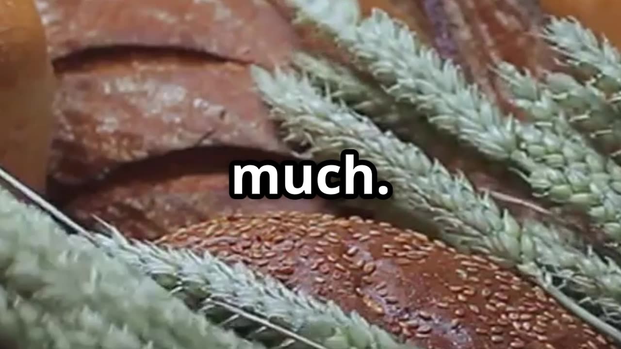 Our Ancestors ate HOW MUCH bread and were skinny?! HOW??