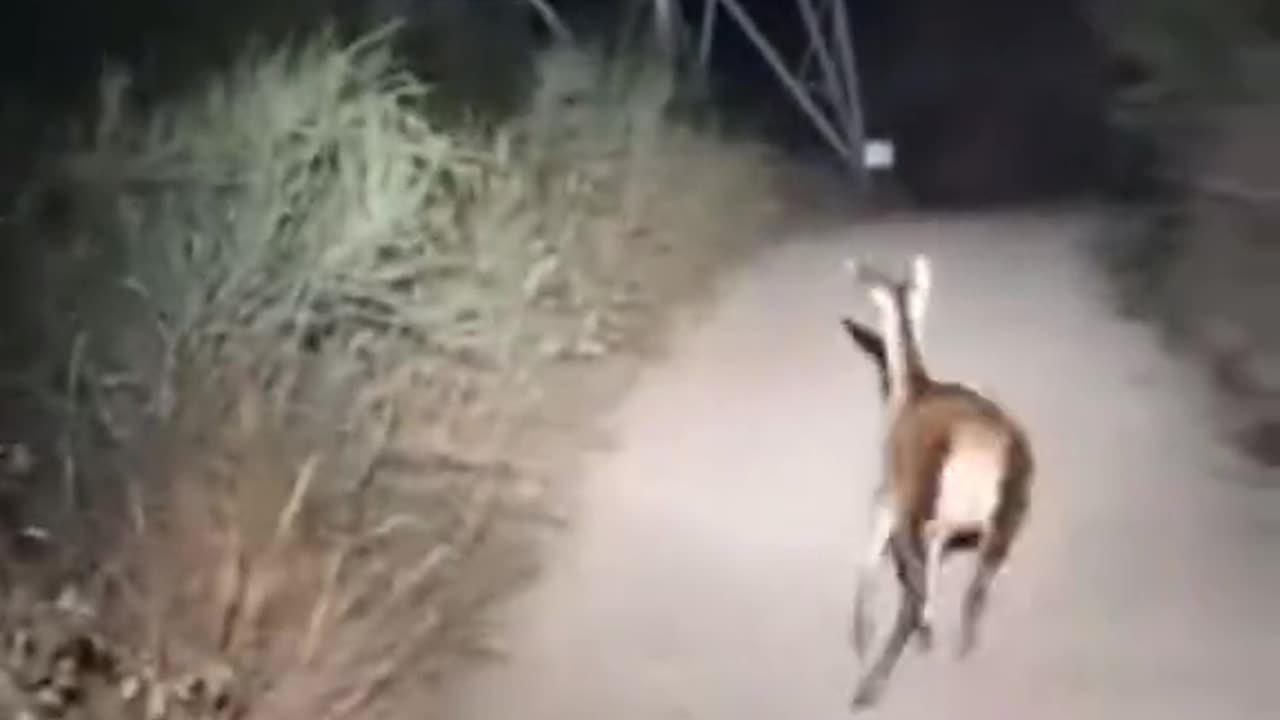 😱👻 What the Hell is That?! | TheHauntingHour