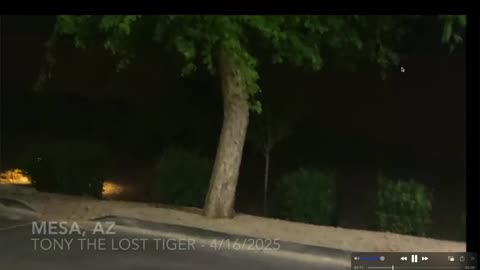 What is Wrong? - Strange Sounds..Strange Wildlife Behavior..Strange Electrical Failures All Linked?