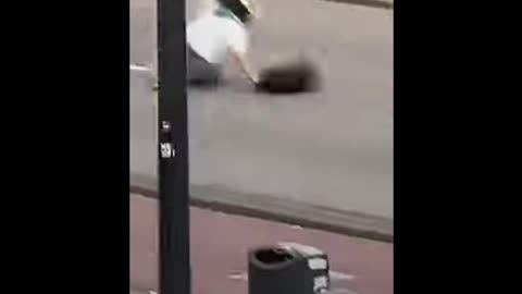 Car Strikes Pro-Palestintian Protester in the Netherlands