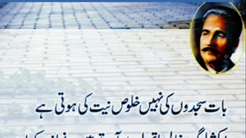 #foryoupage #poetry #urdupoetry #urdushayari #poetrystatus #poetryvideo #poetrylovers #poetrylovers #viralpost2024 #fypシ゚viral #foryouシ #shorts #viralreel #trendingreelsvideo