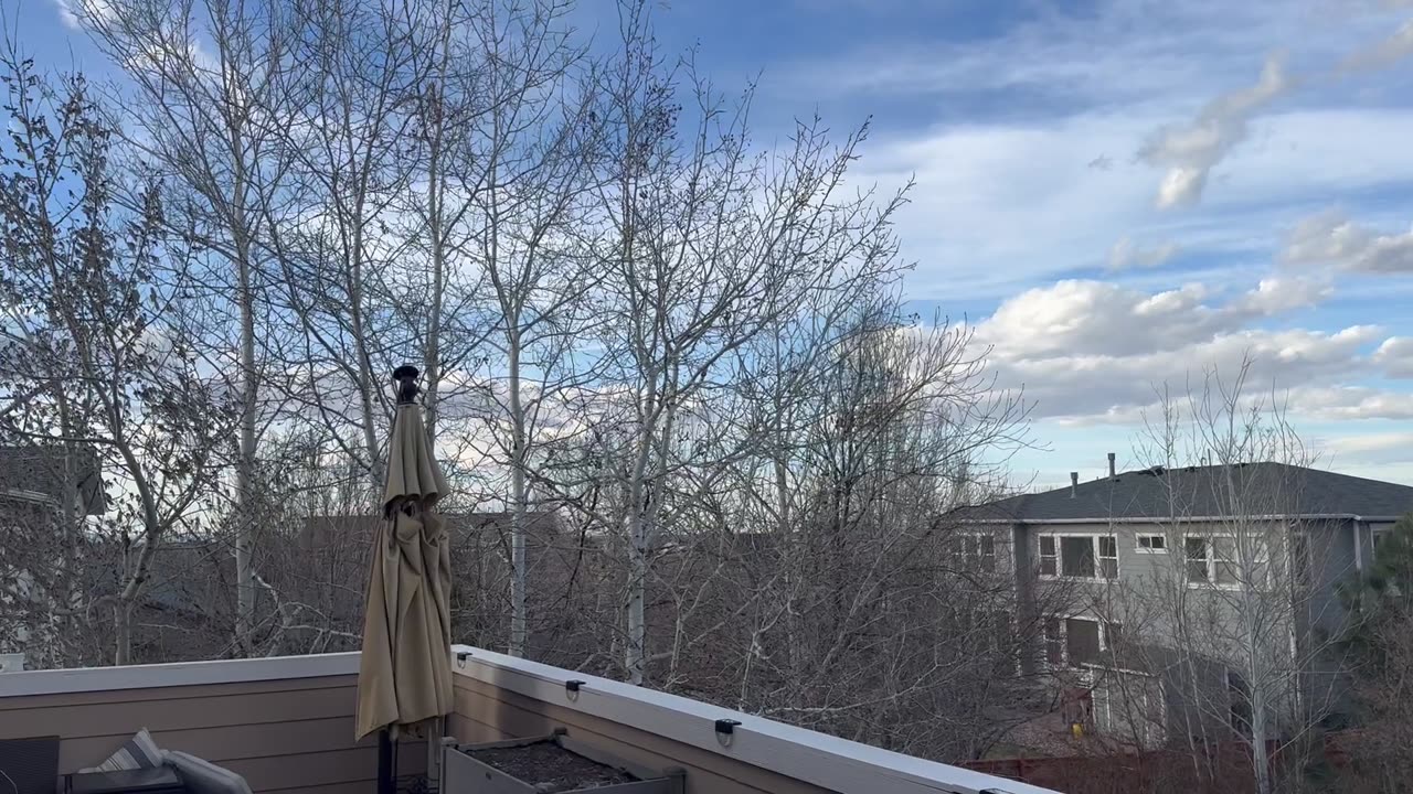 A good day outside