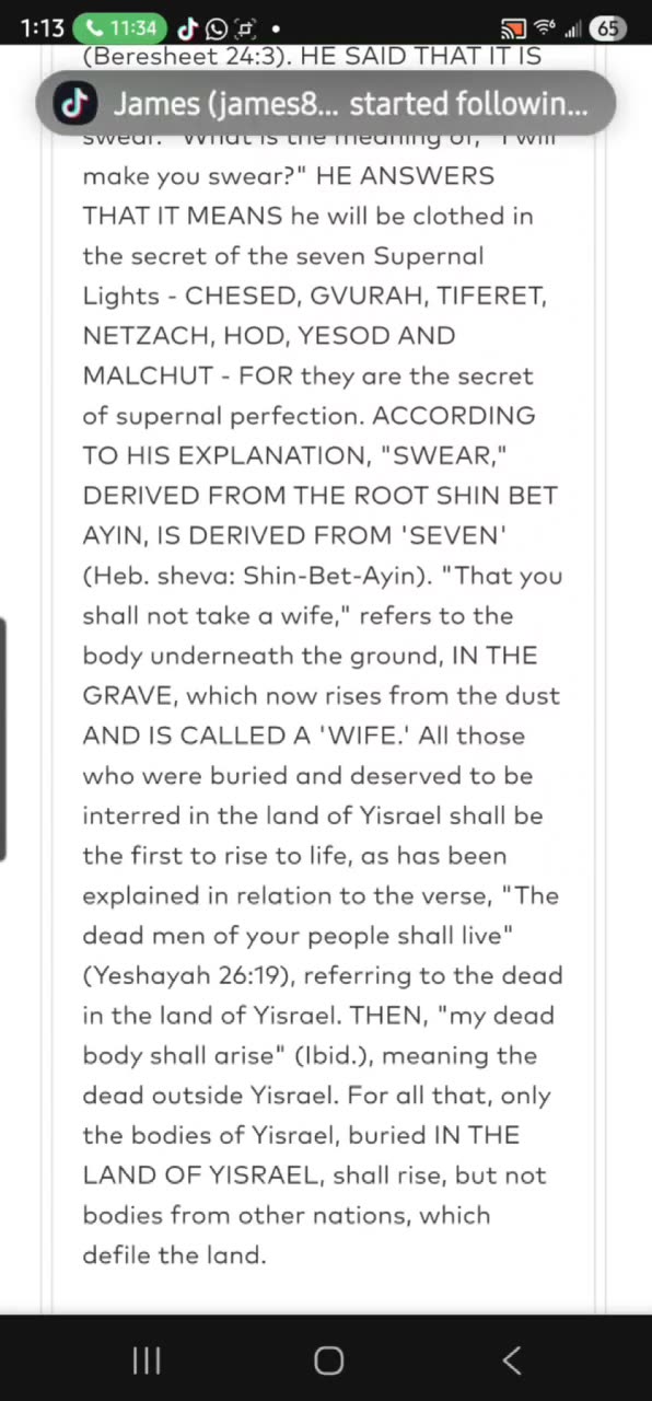 Noon Zohar. R ALEPH 🤍. Behold my servant shall prosper. (VAYESHEV 5) 11/15/25