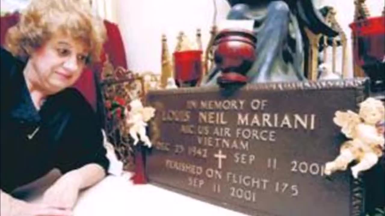 Ellen Mariani vs Bush UA175 - Black Op Radio Interview (15 Jan 2004)