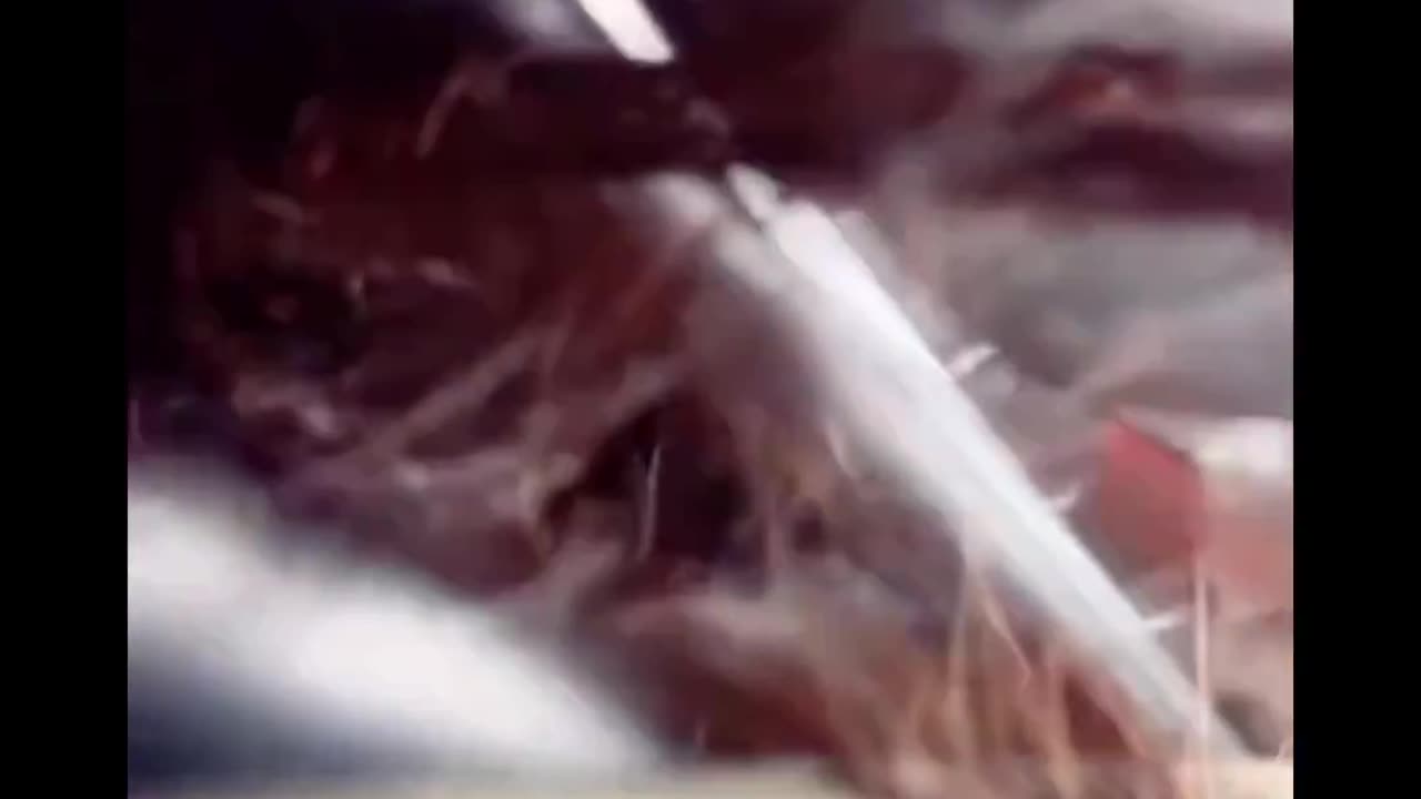 atiana Martinez, a Tiktok influencer and illegal alien, was arrested in Los Angeles today