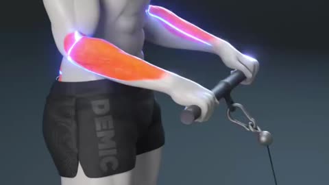 Best Workout tips