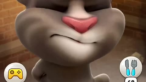 Talking tom game
