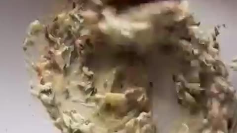 Garlic bread recipie
