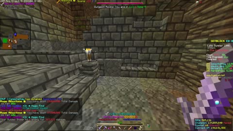 Skyblock FLOOR 7 [#2766]