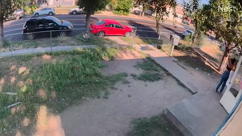Rajhua Fighting Pt 2 09012025