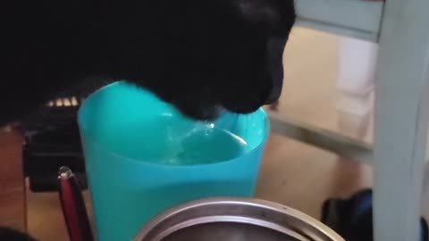 Thirsty Hank