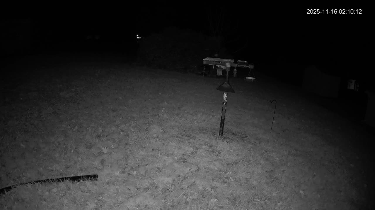 Bird Feeder in Western Maryland USA