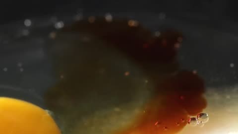 Fruit Tart & Pastry Mukbang