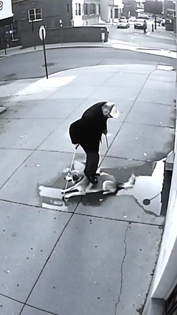 A Real & Silent Hero