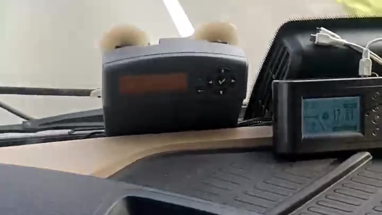 THE 5G COCKTAIL EFFECT...