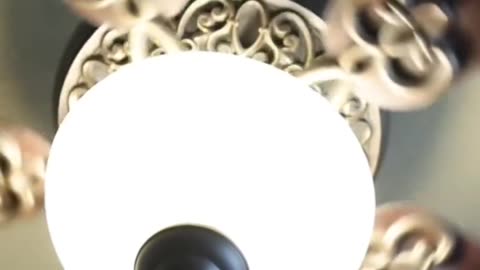 The Versatility of Muscle Lubricants