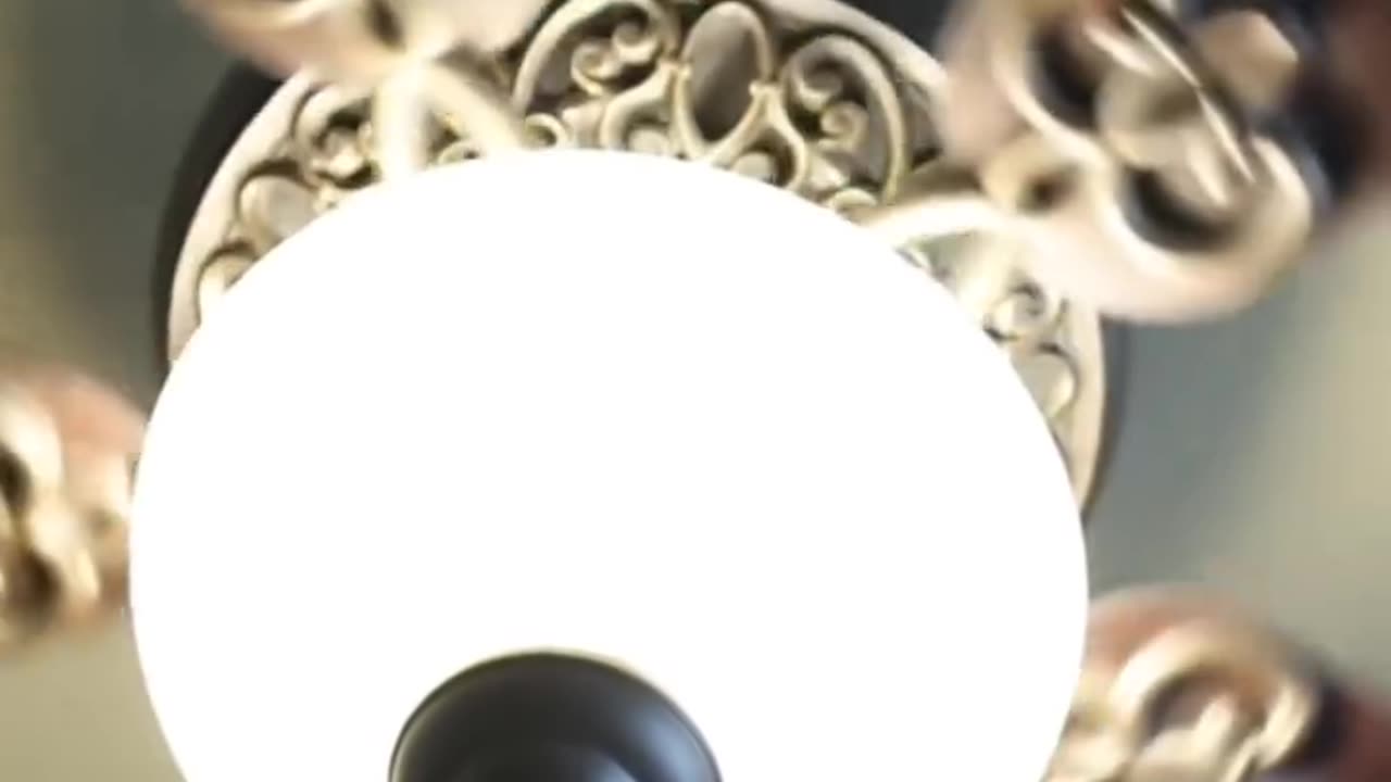 The Versatility of Muscle Lubricants