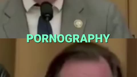 Farage's US Visit: Raskin's Scathing Critique