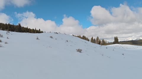Arctic Cat Alpha short track -Feb. 2025