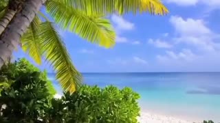 A great Sunday to all
