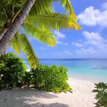 A great Sunday to all