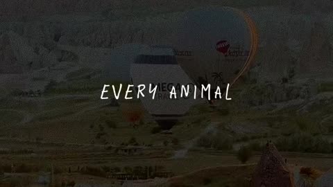 📖✨ Bible Verses for You | Find Wisdom in Scripture | InGodWeTrustDaily