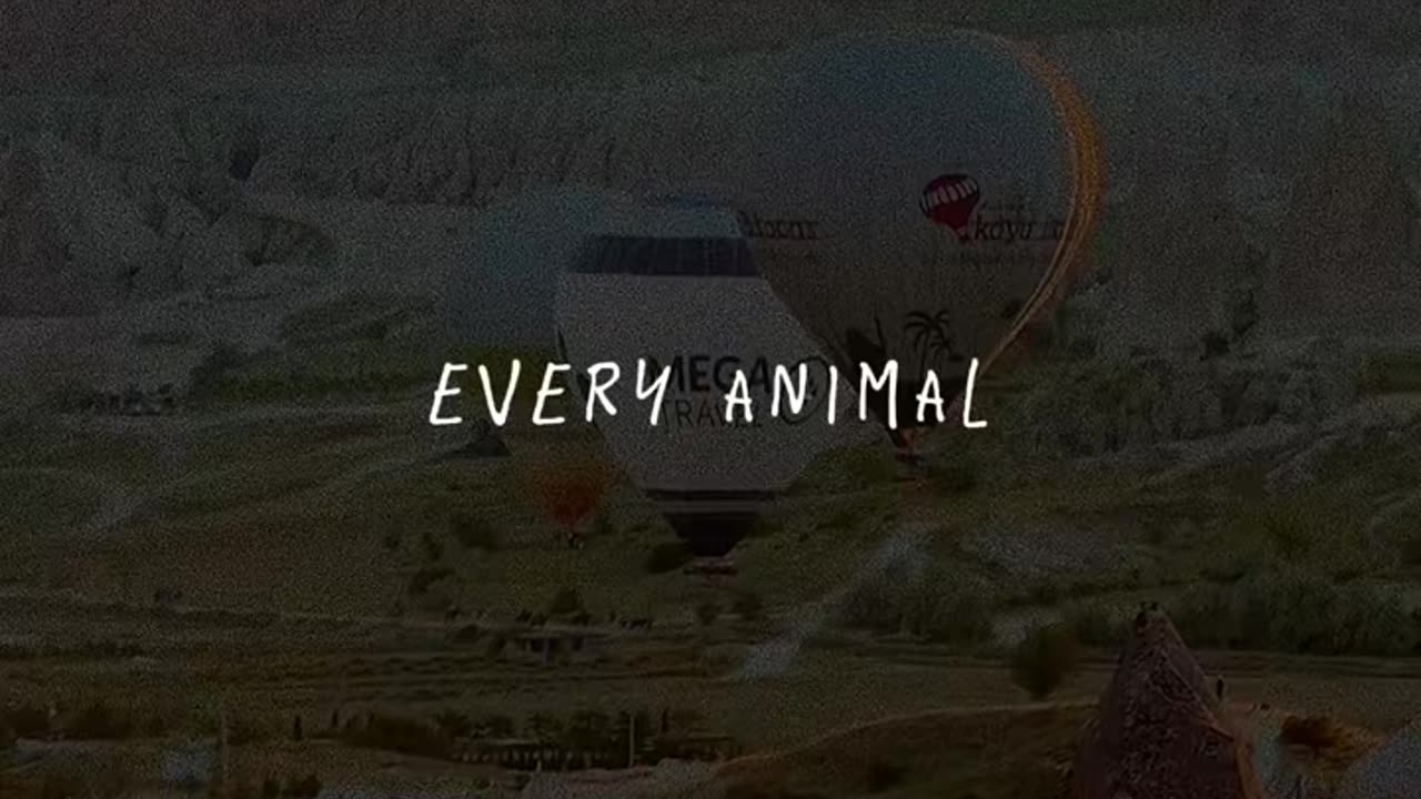 📖✨ Bible Verses for You | Find Wisdom in Scripture | InGodWeTrustDaily