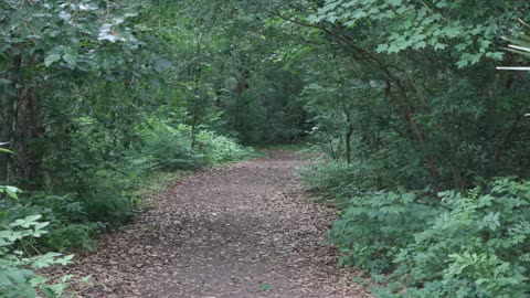 NOLA Parks Nature Stroll