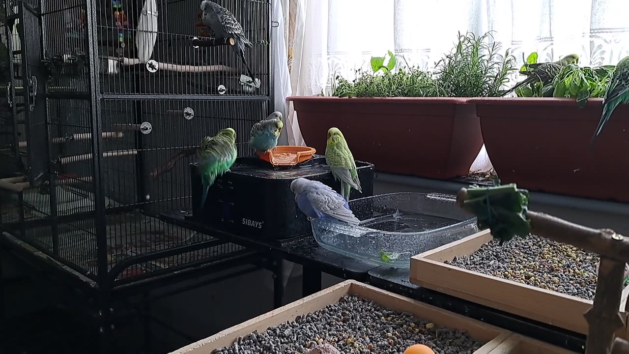 Bath Time Insanity, Pt 1