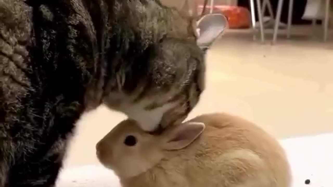 Adorable friends 💖