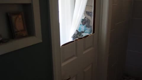 Putting A Window In A Bathroom Door? Is There Mold Up Inside Your Faucet?
